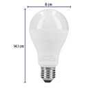 LED-125FX4+FC2.jpg