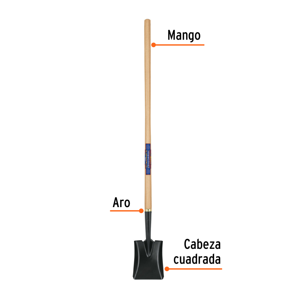PCL-CG+FC1.jpg
