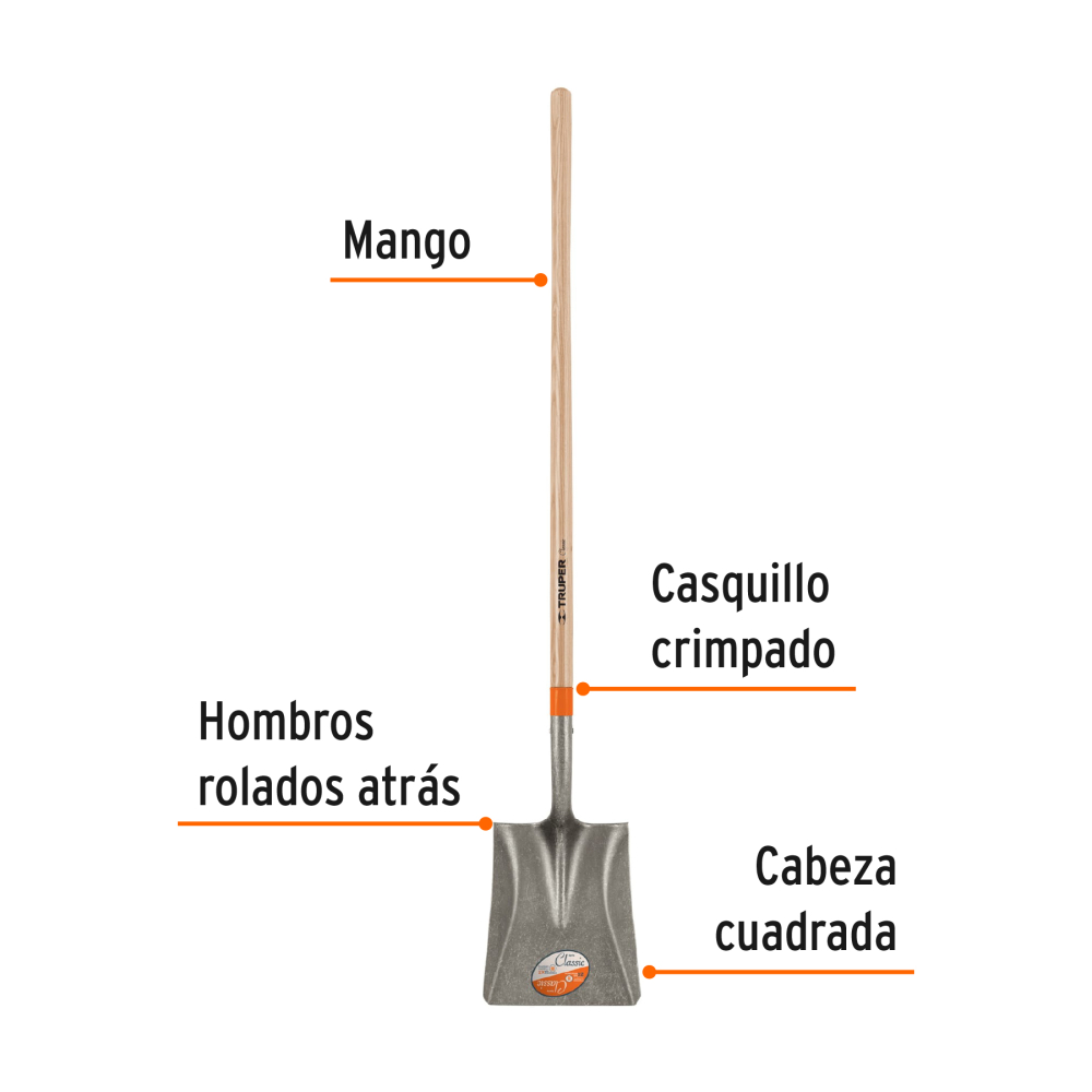 PCL+FC1.jpg