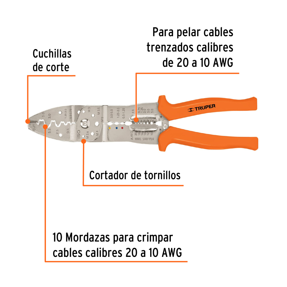 PE-CA-10+FC1.jpg