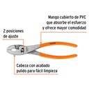 PCH-10+FC1.jpg
