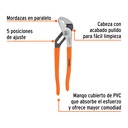 PEX-10+FC1.jpg