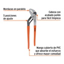 PEX-12+FC1.jpg