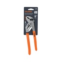 PEX-8+E1.jpg