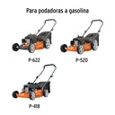 PIO-POD+D1.jpg