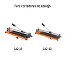 REP-CAZ-RIE+D1.jpg