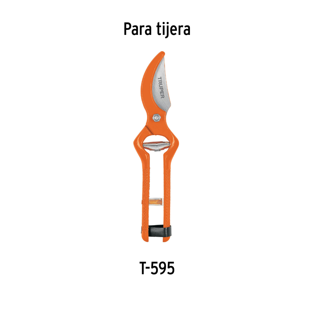 REP-T595+D1.jpg