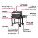 ASCA-24+FC1.jpg