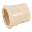 Conector hembra CPVC 2', FOSET CPVC-606