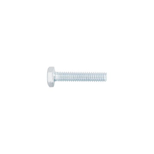 [44559] Bolsa con 100 tornillos 1/4' x 1-1/4' tipo máquina, FIERO TORM-1/4X1-1/4